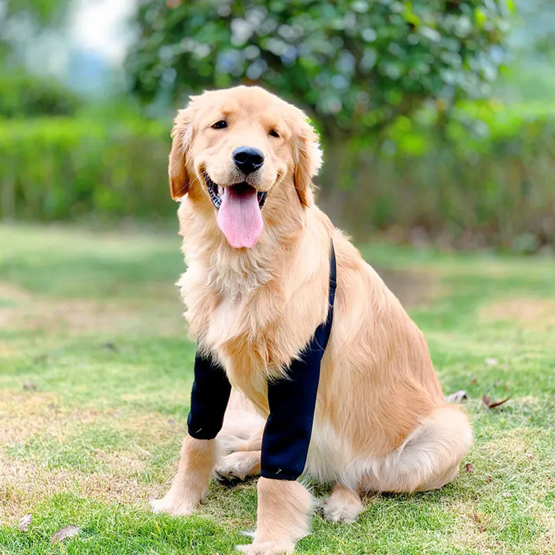 Anti-Lick Dog Elbow Brace Protector Wound Soft Breathable Pain Relief Shoulder Support Elbow Sleeves Pads for Canine Elbow