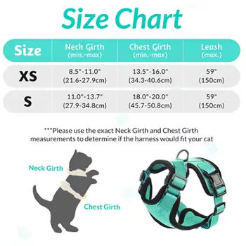 8 best sales Gürtel für Katze - №3