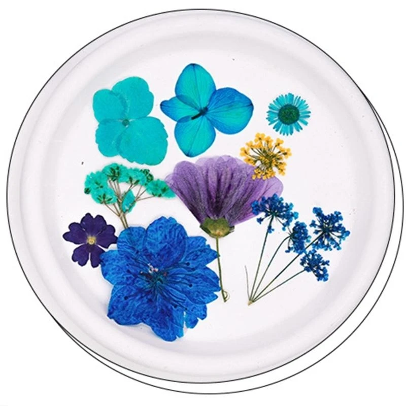 

Natural Dried Pressed Flower Leaves for Jewelry Making Art Craft Scrapbooking 15UB