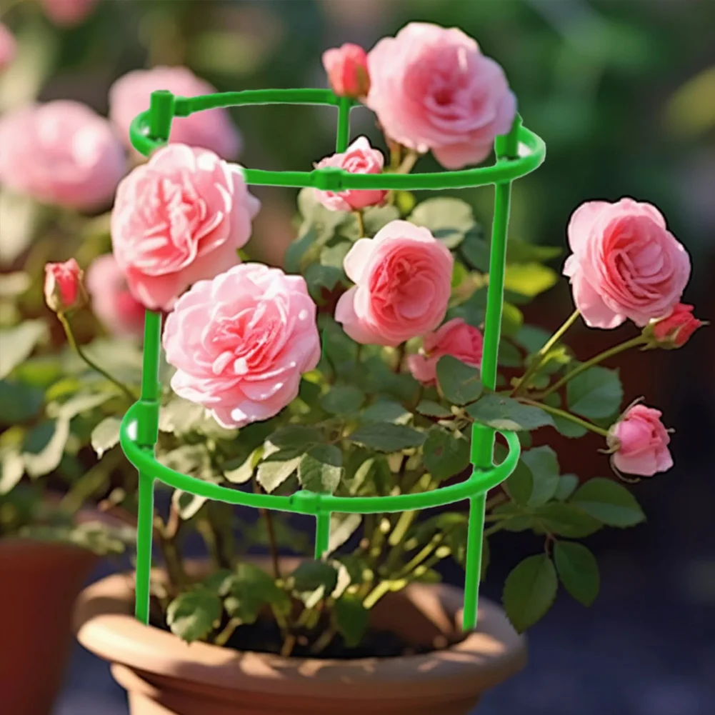 Tomato Plant Support Cage For Potted Plants Trellis Structure To Guide Stems And Improve Yield In Container Gardens