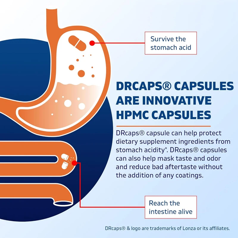 Vitamin Lactobacillus 2 miliar 60 Dr kapsul Per kapsul-dukungan pencernaan terbuat dari serat Inulin prebiotik (botol)