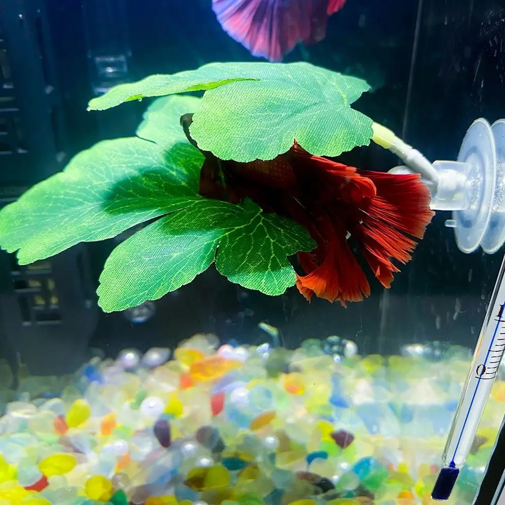 Aquariums Decor Plastic Betta Fish Rest Leaf Simulated Creative Artificial Plants with Suction Cups Fish Spawning Leaf Props