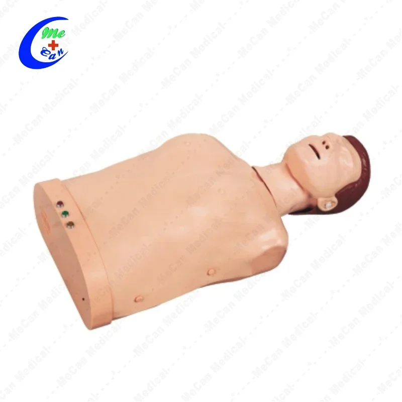 Half Body Cpr Doll Model Mannequins Manikin  Training  Dummy for First Aid