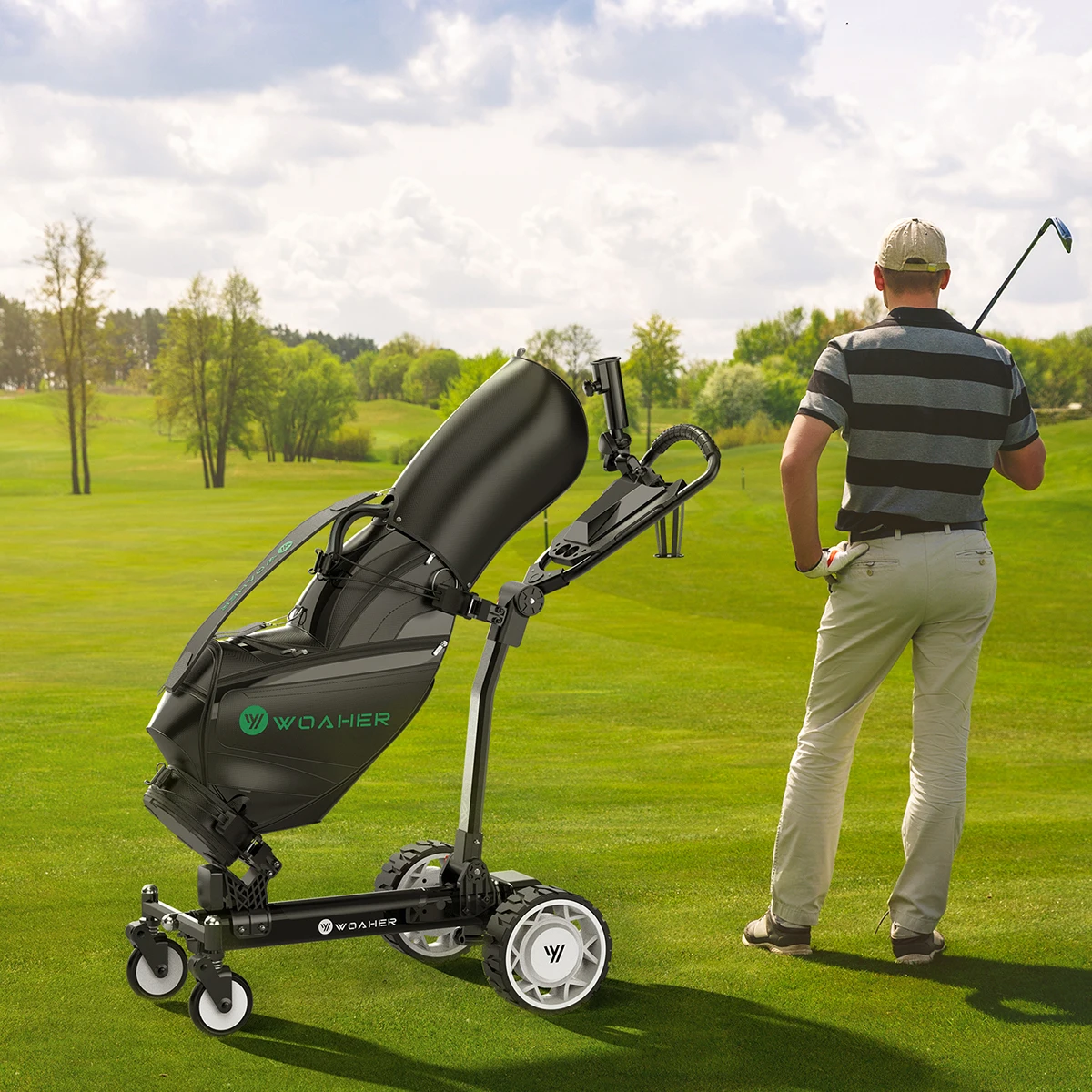 

Высокое качество 250*2 Вт с автоматической слепой, электрическая тележка для гольфа с дистанционным управлением, аккумуляторная батарея, электрическая тележка для гольфа