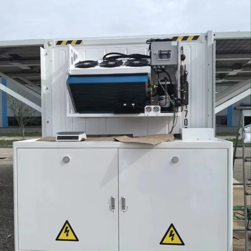 Customized Solar Powered 8HP Container Cold Storage  20FT 40FT for Fish Meat Chicken Freezing