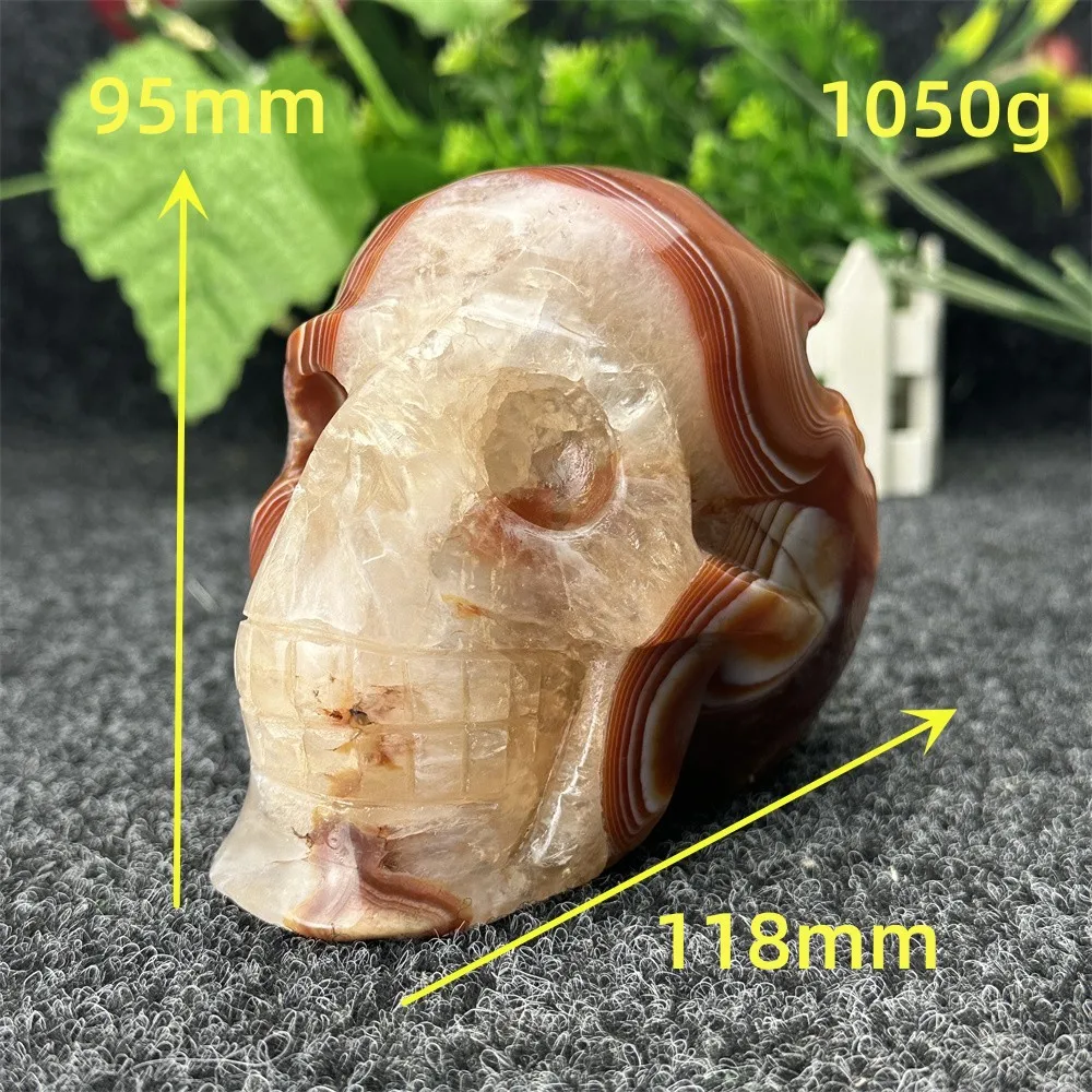 Natural Crystal Red Agate Agate Skull Carving Reiki Altar Feng Shui Healing Quartz Statue Crafts Home Decoration Halloween Gift