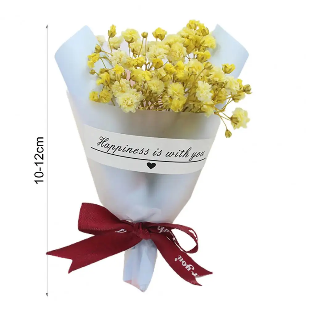 Mini Pack Sky Star Flower Gypsophila Bouquet Charming Dried Flower Bouquet Valentine\'s Day Artificial Plant Home Decor