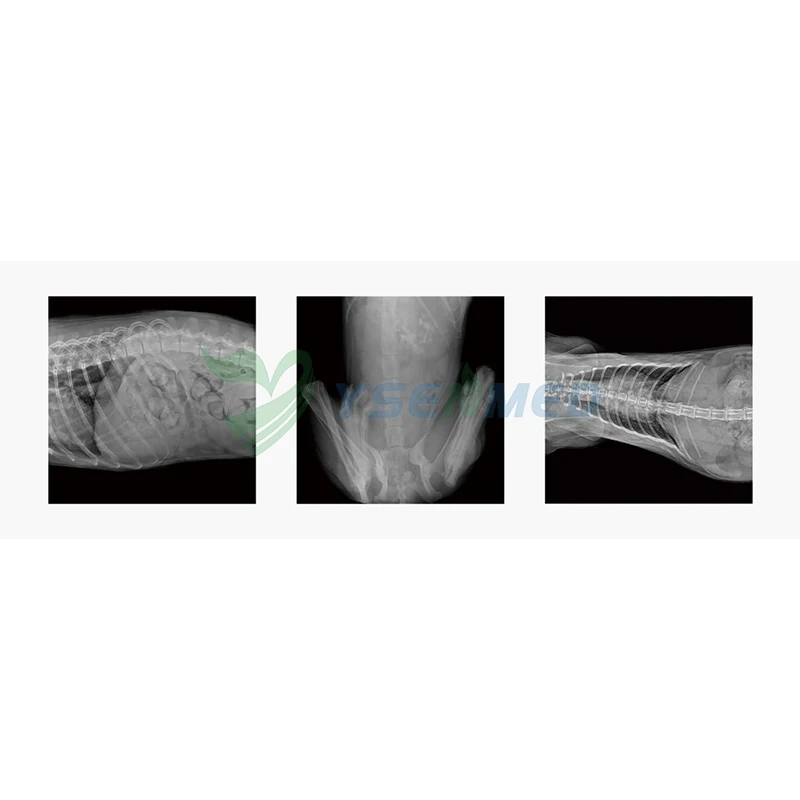 YSX-DRF32V  DR system Veterinary X-ray digital x ray veterinary instrument, medical x-ray machine for animal