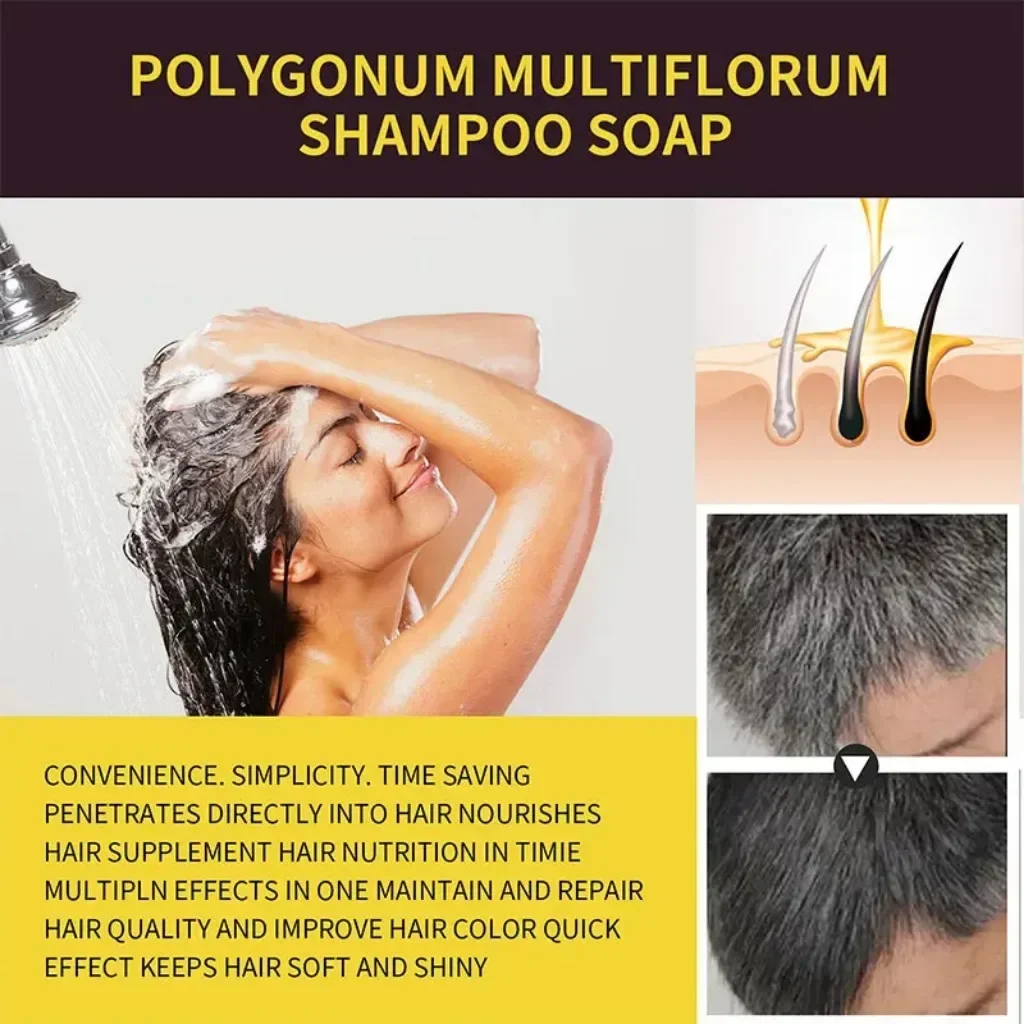 Schwarzes Haar Shampoo Polygonum Multi florum natürliche Kräuter Haar färbemittel Shampoo Essenz feuchtigkeit spendende Haar reinigung Reparatur Erweichung