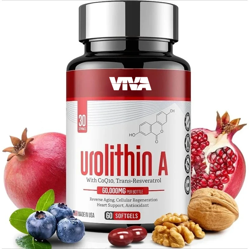 Urolitin A Capsules 1000mg are antioxidants containing resveratrol coenzyme Q10, used for energy production and healthy aging