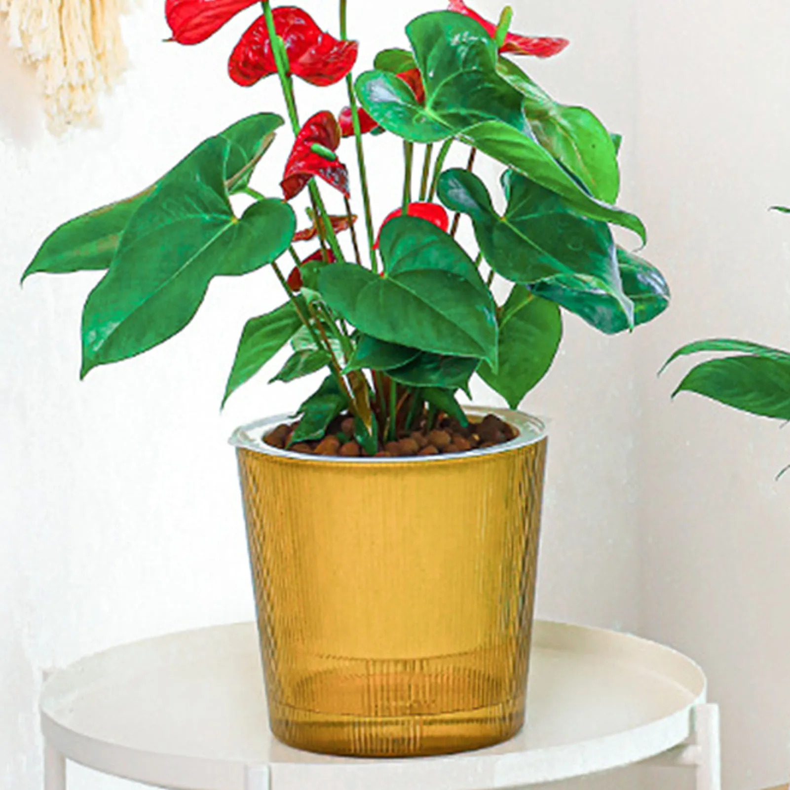 Visible Self Watering Plants Pot Self-Watering Effort Time Saving Planters for Family Friend Neighbor Gift