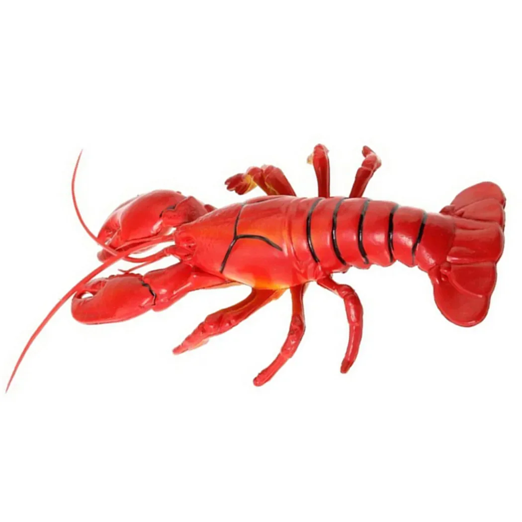 จําลองกุ้ง 14x5 นิ้วปลอมกุ้งก้ามกรามสําหรับจอแสดงผลประดิษฐ์สัตว์ทะเลตกแต่งการผลิตชุดน้ํา