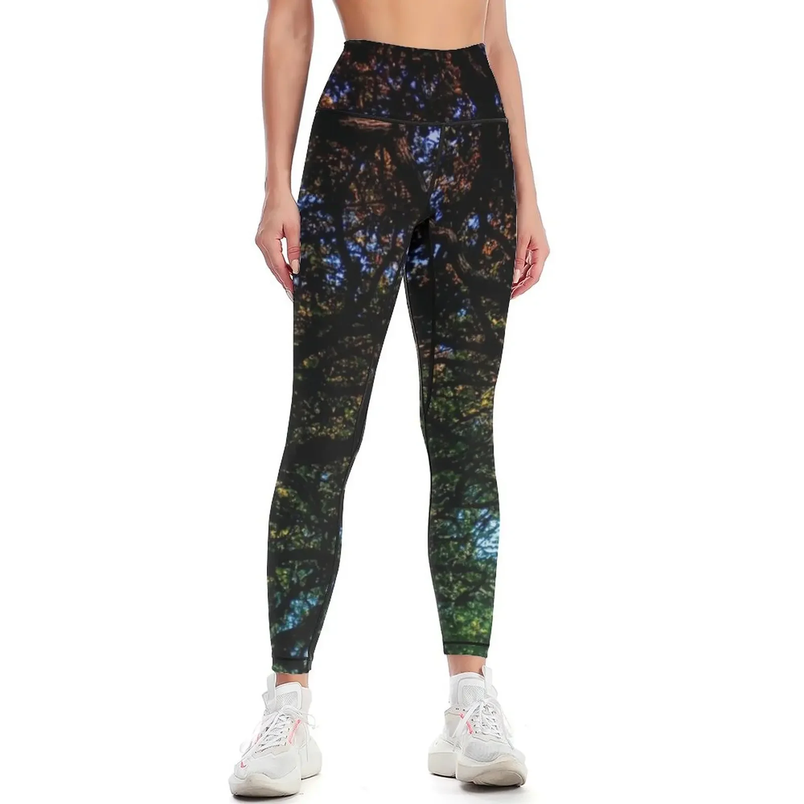 

Tree bow in autumn Leggings Legging sexy woman sport legging Female legging pants gym clothing Womens Leggings