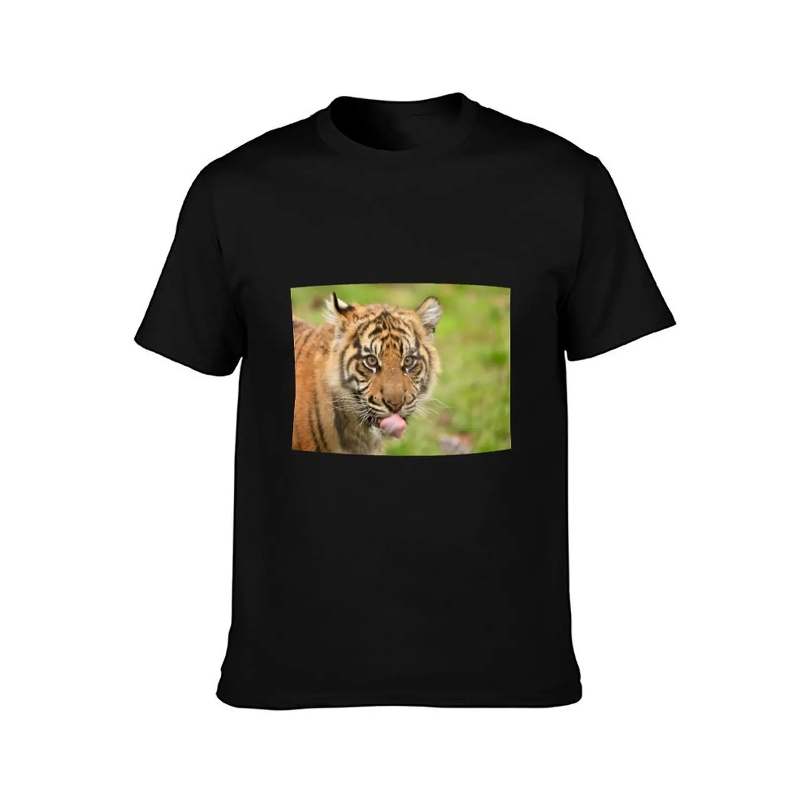 Sumatran Tiger Cub T-Shirt Basic Daily Outfit Short Sleeve Tee