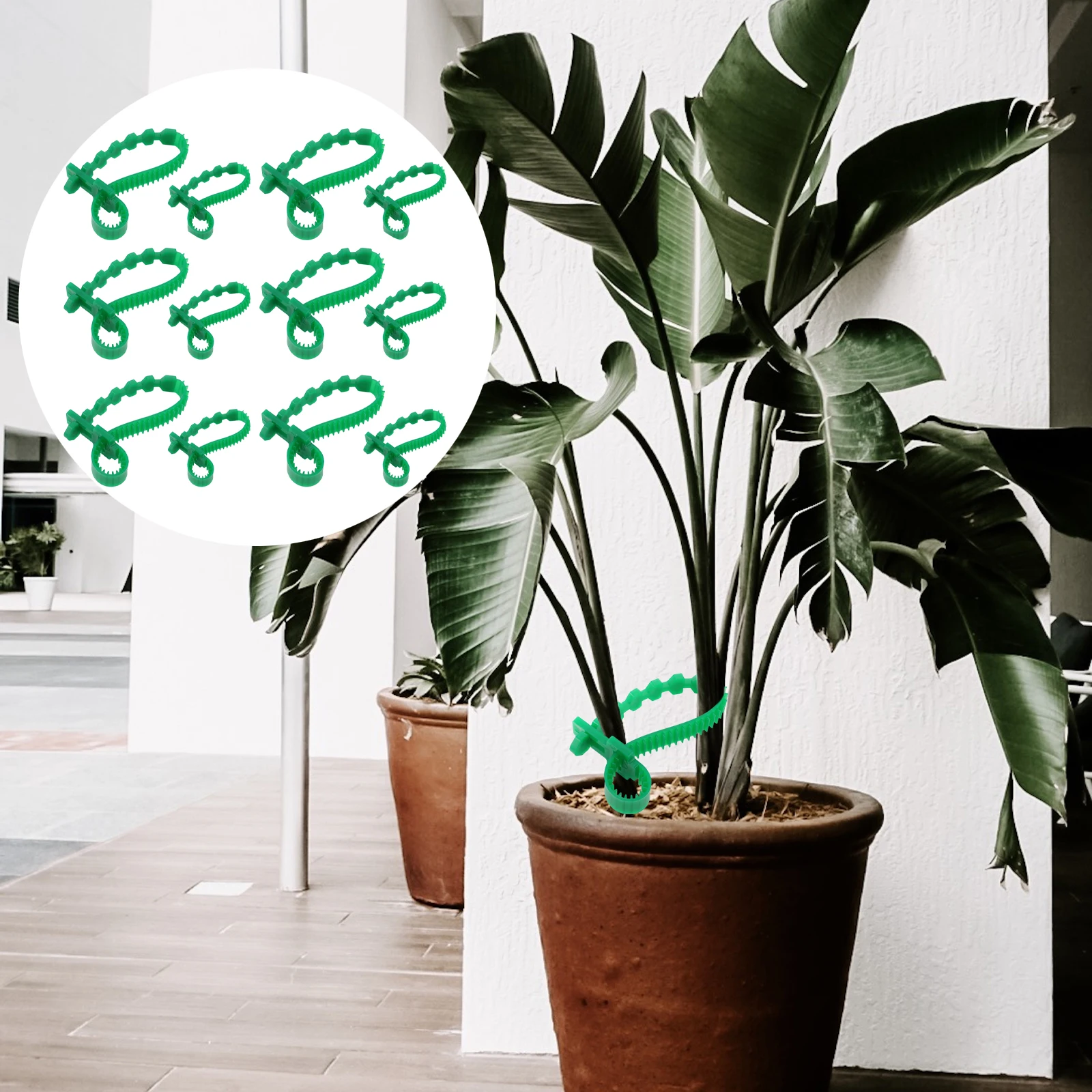 

10pcs Gardening Cable Ties Strong PVC Plant Straps Tree Support Durable Reusable Adjustable Tree Plant Tie Gardening Supplies