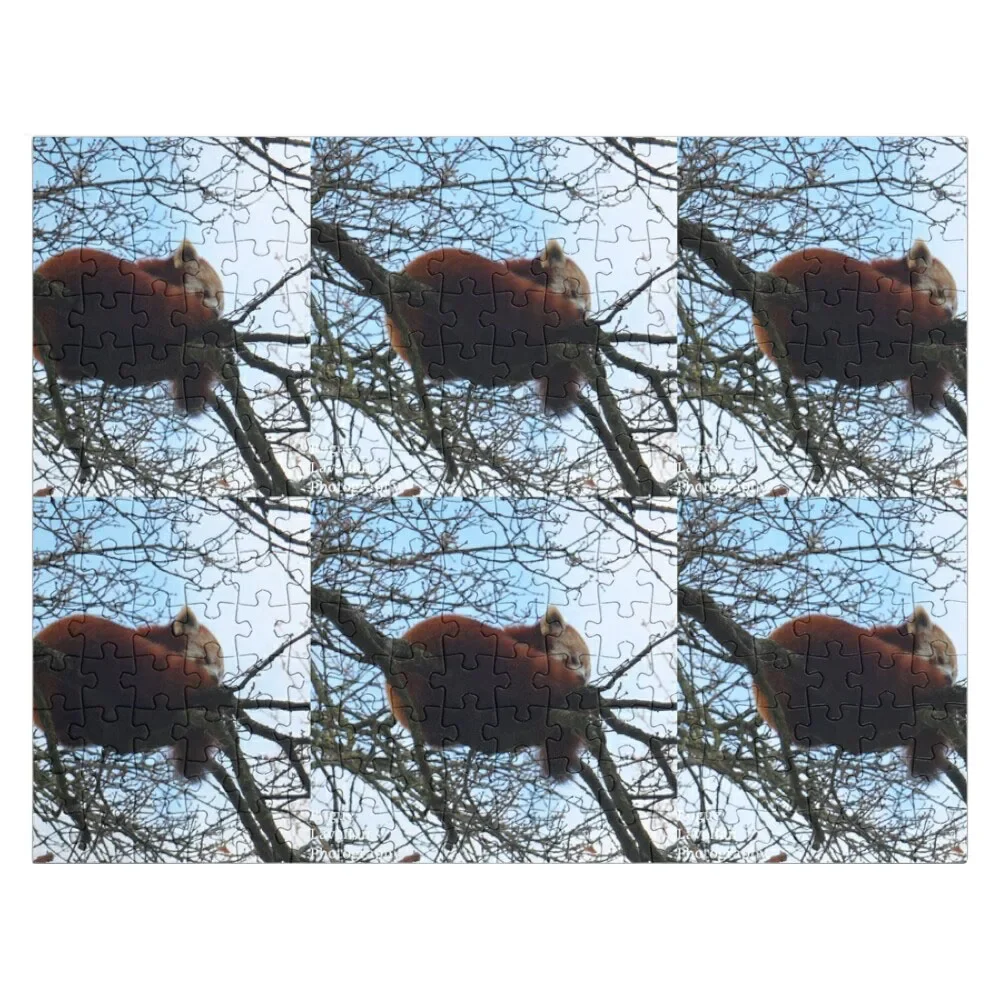 

Red panda up a tree Jigsaw Puzzle Christmas Gifts Photo With Photo Personalized Child Gift Puzzle