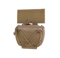 Coyote Brown