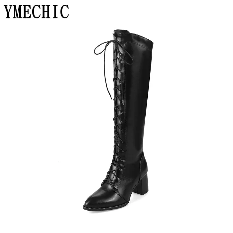 YMECHIC Brown Black Lace Up Cross Tie Womens Boots Pointed Toe High Block Heel Knight Motorcycle Boots Ladies Shoes Plus Size