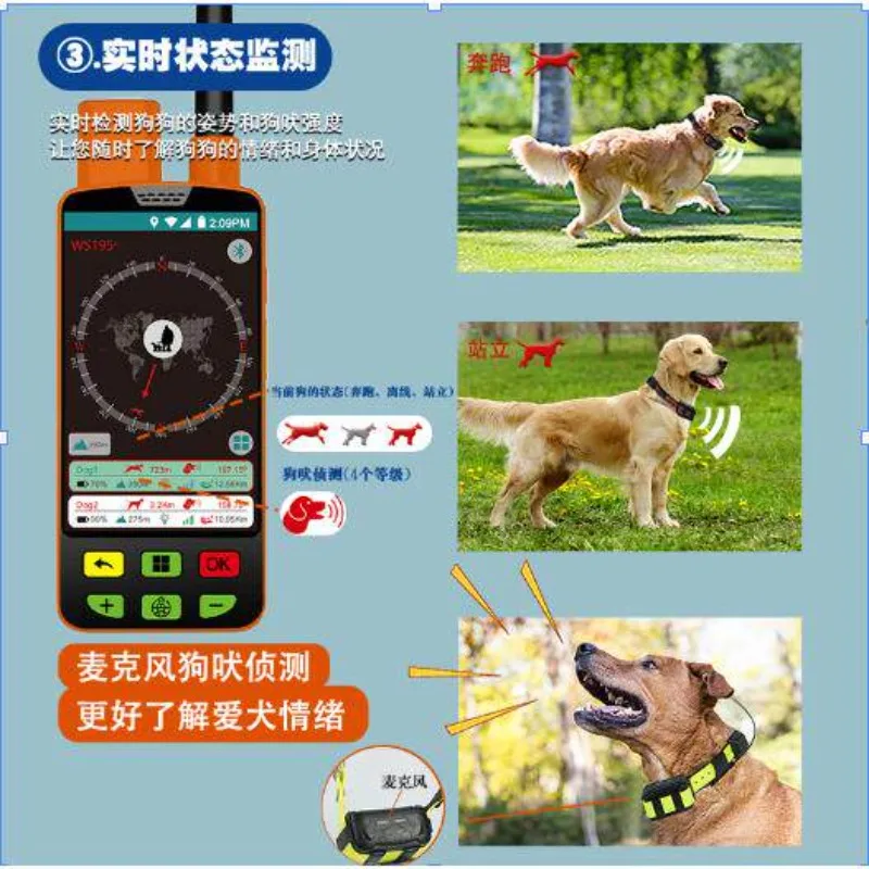 

1pcs Collared dog equipment, Dog Tracker, for without signal in the mountains and Dog Trackers on sale