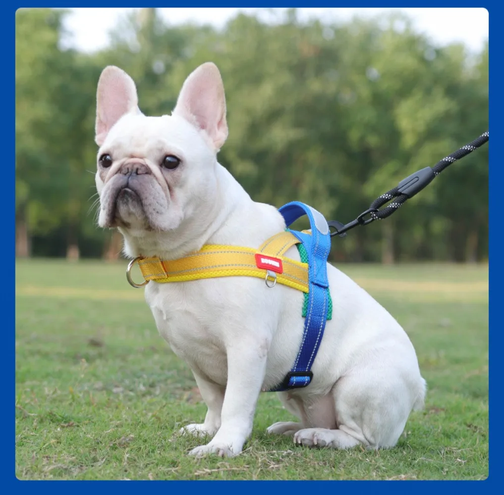 

Pet Harness with Reflective Strips Adjustable Outdoor Chest Harness with Colorful Leash Pet Cat & Dog Harness Set