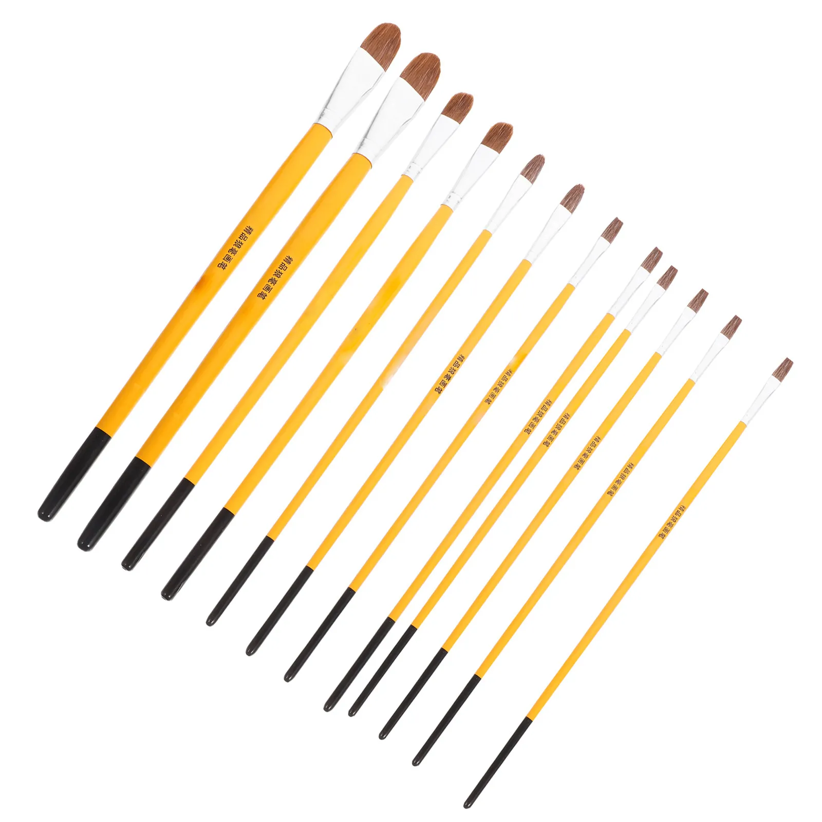 12Pcs Wood Handle Painting Brush Set Oil Acrylic Watercolor Brushes Fine Tip Liner for Artists Beginners Professionals Painting