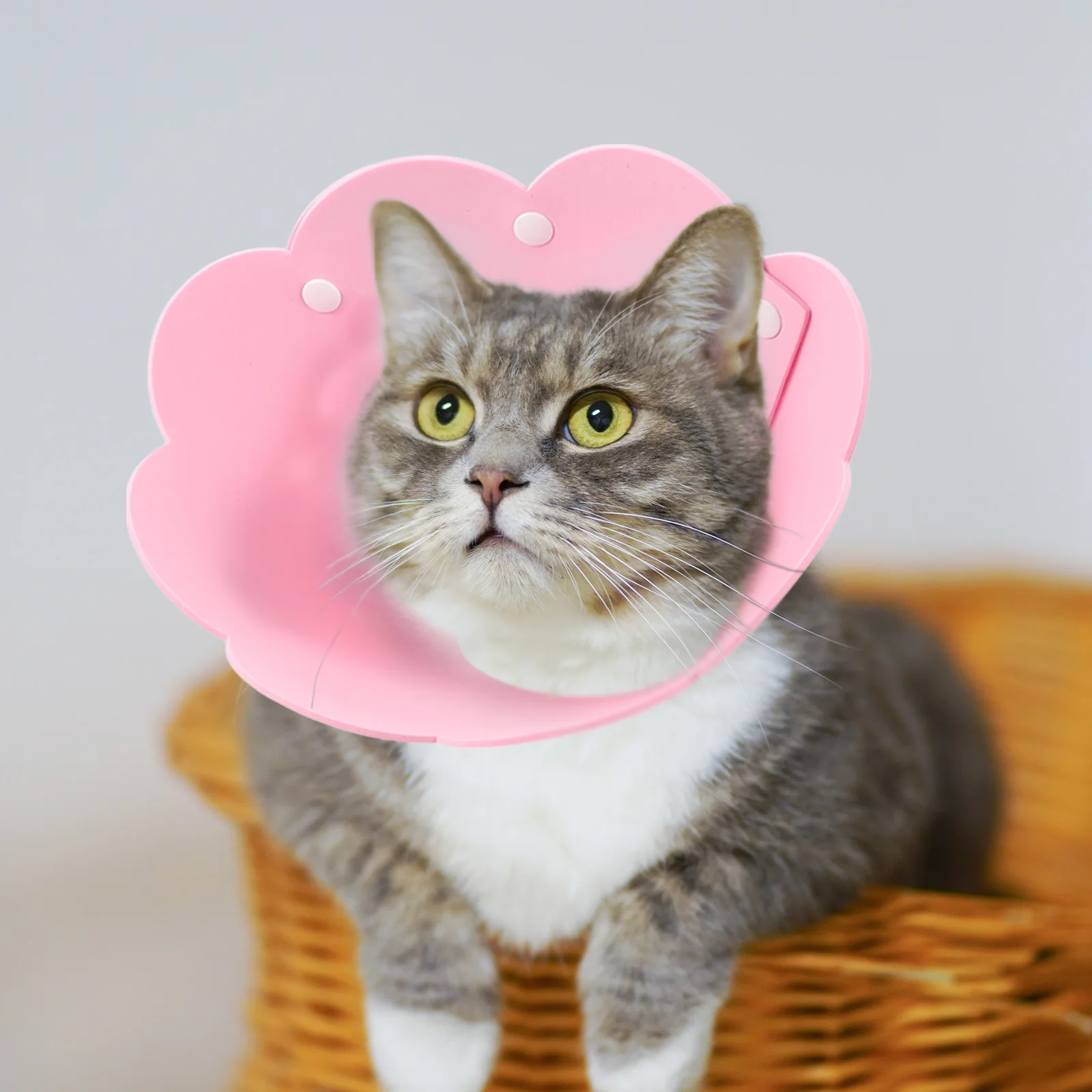 

3pcs Cat Collar EVA Sponge Sunflower Elizabeth Prevent Licking Scratching Pet Protective Collar Yellow Pink Orange M