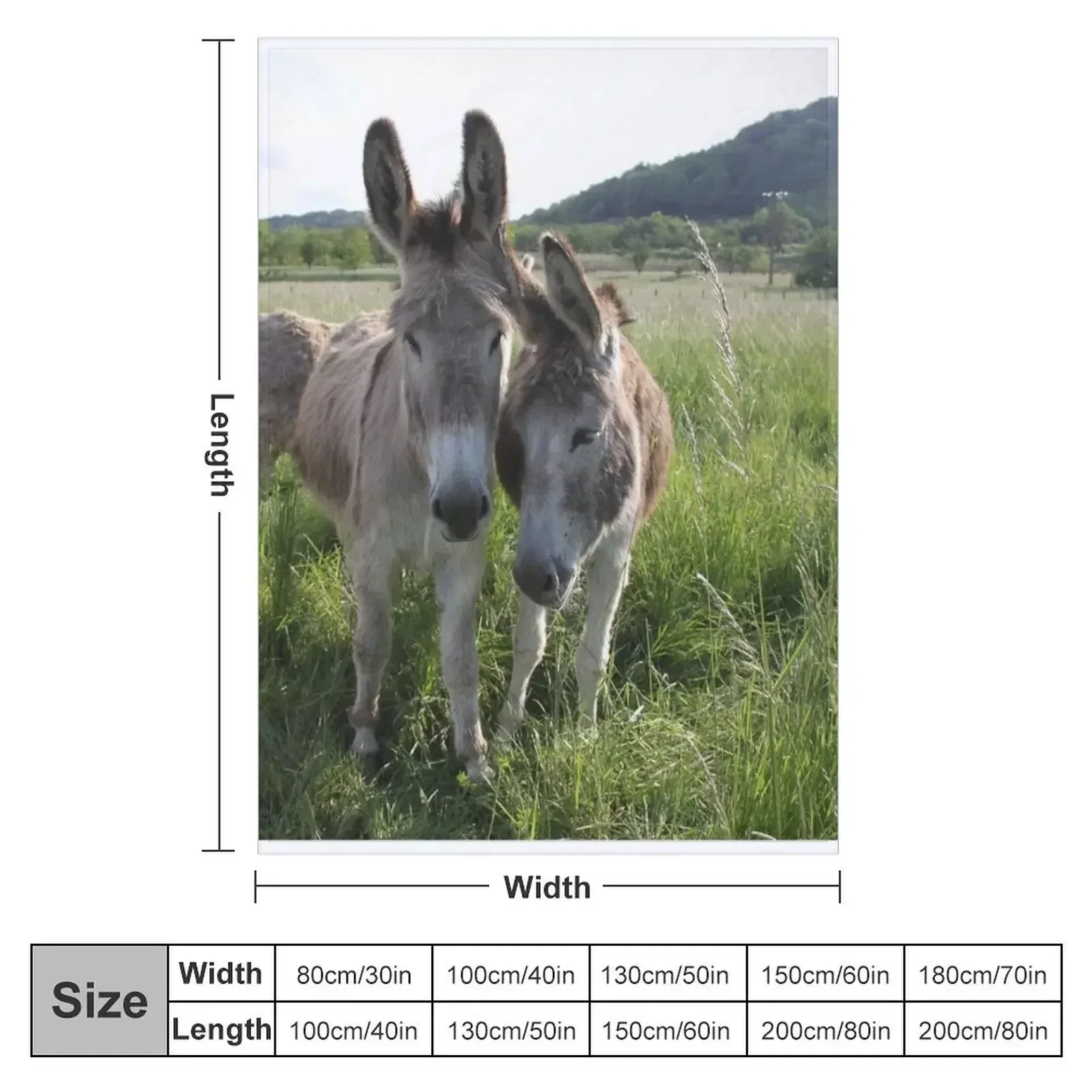 Adorable grey donkeys in the high grass meadow Throw Blanket blankets ands Stuffeds Bed Fashionable Blankets