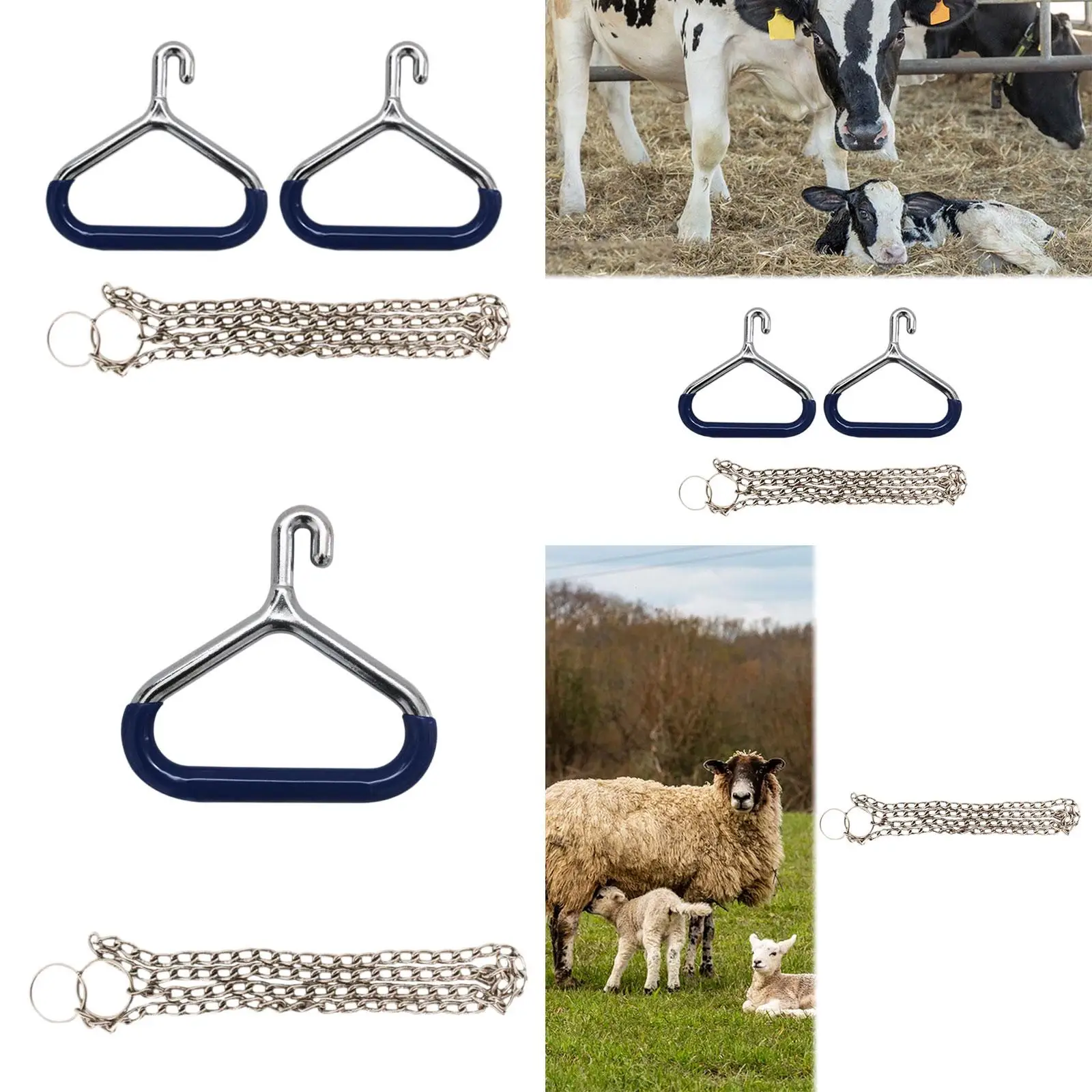 Aparato Ob de vaca, accesorios de acero inoxidable, herramienta veterinaria, cadena de 60 pulgadas