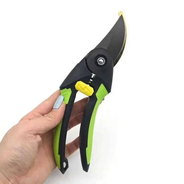 

Horticultural Scissors for Pruning Fruit Trees and Pruning Garden Branches. Scissors for Pruning and Fruit Picking