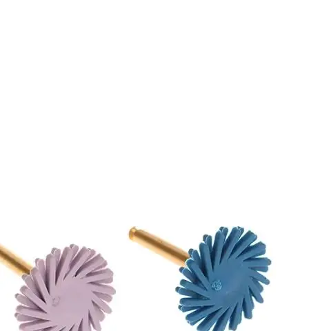 

1Pcs Dental Rubber Polisher Composite Resin Polishing Diamond System RA Disc Kit 15mm Wheel Spiral Flex Brush Burs