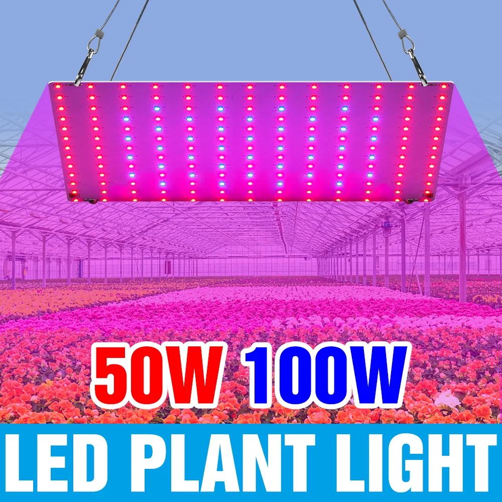 100 واط LED الطيف الكامل تنمو أضواء الكم مجلس زراعة مصباح الولايات المتحدة/الاتحاد الأوروبي التوصيل للداخلية الفاكهة الدفيئة خيمة الشتلة الخضروات