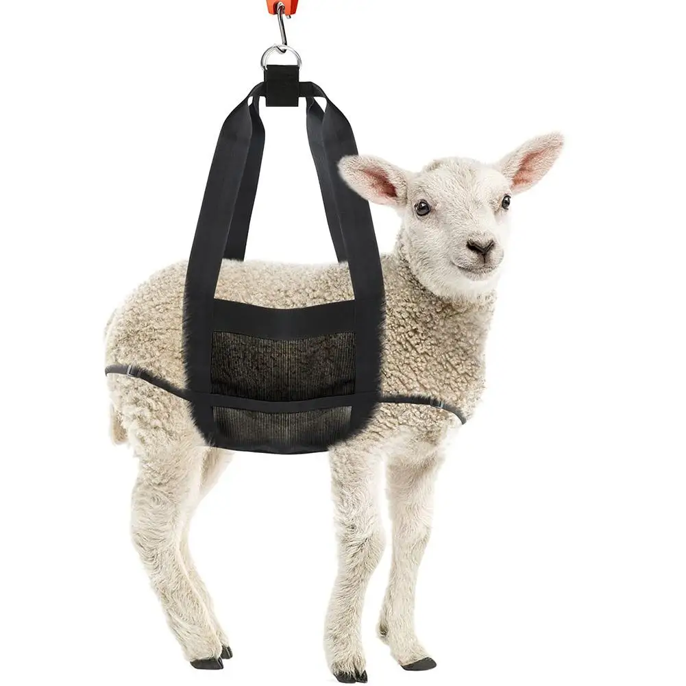 

Foldable Hanging Weight Scale Sling With Adjustable Straps For Weighing Calves Lambs Goats Livestock Hot Sale