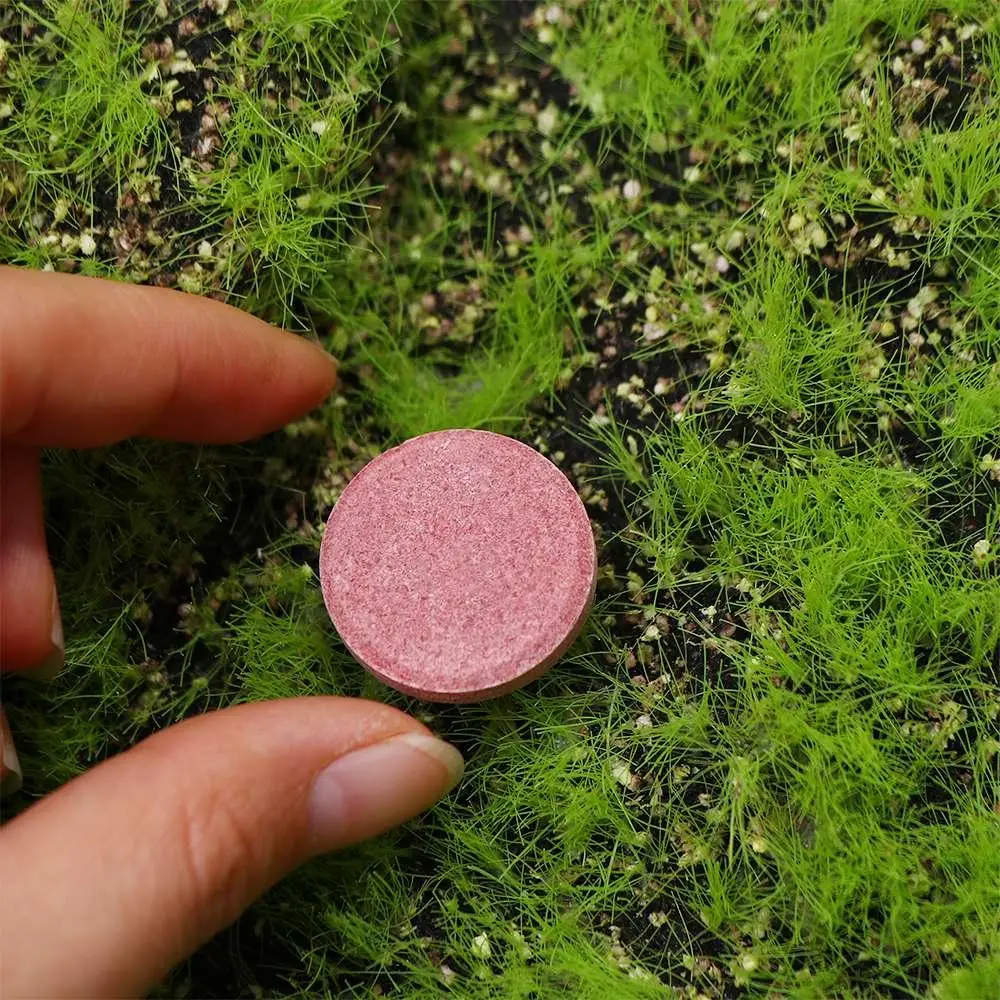 ยาเม็ดปุ๋ยอินทรีย์ฟอสฟอรัสและโพแทสเซียม ช่วยเร่งการเจริญเติบโตของพืช  แบบปล่อยออกช้า สำหรับต้นไม้ในกระถาง