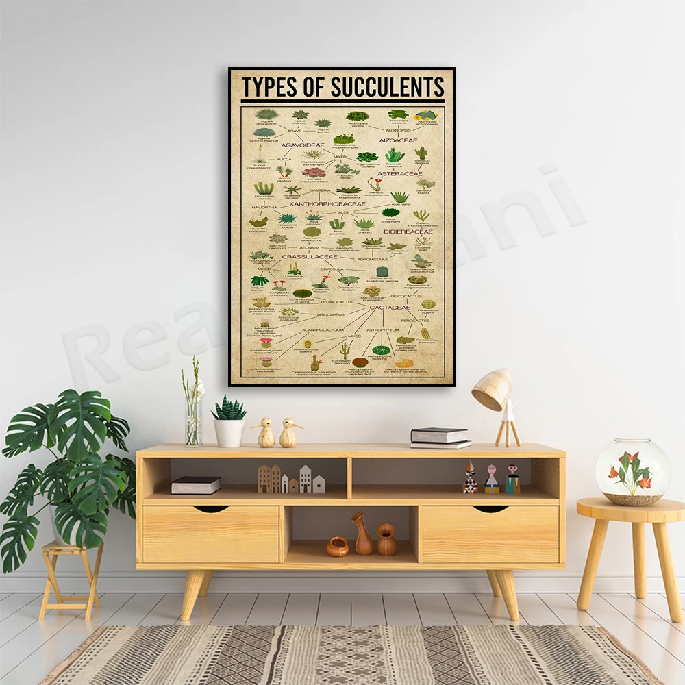 

Succulent species poster, plant lady print, potted plant poster, succulent knowledge poster, gift for plant lovers