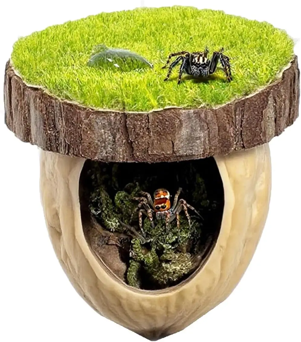 Saltando aranha esconderijo aranha plataforma de escalada gabinete decoração kit com esconderijo para aranha habitat inseto casa acessórios