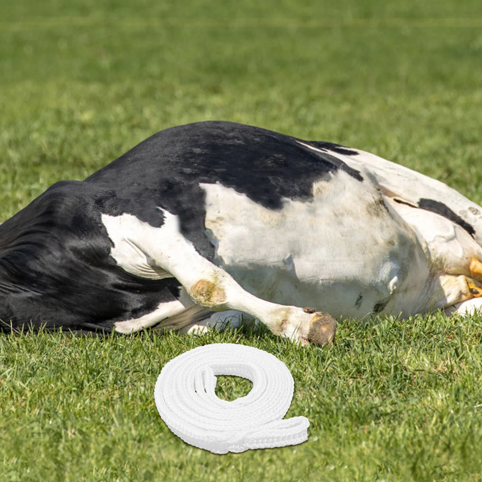 

1pc Cow Delivery Nylon Midwifery Cattle Equipment Tool Livestock Birthing Aid Obstetric Cord Cattle Equipment Farm Supplies