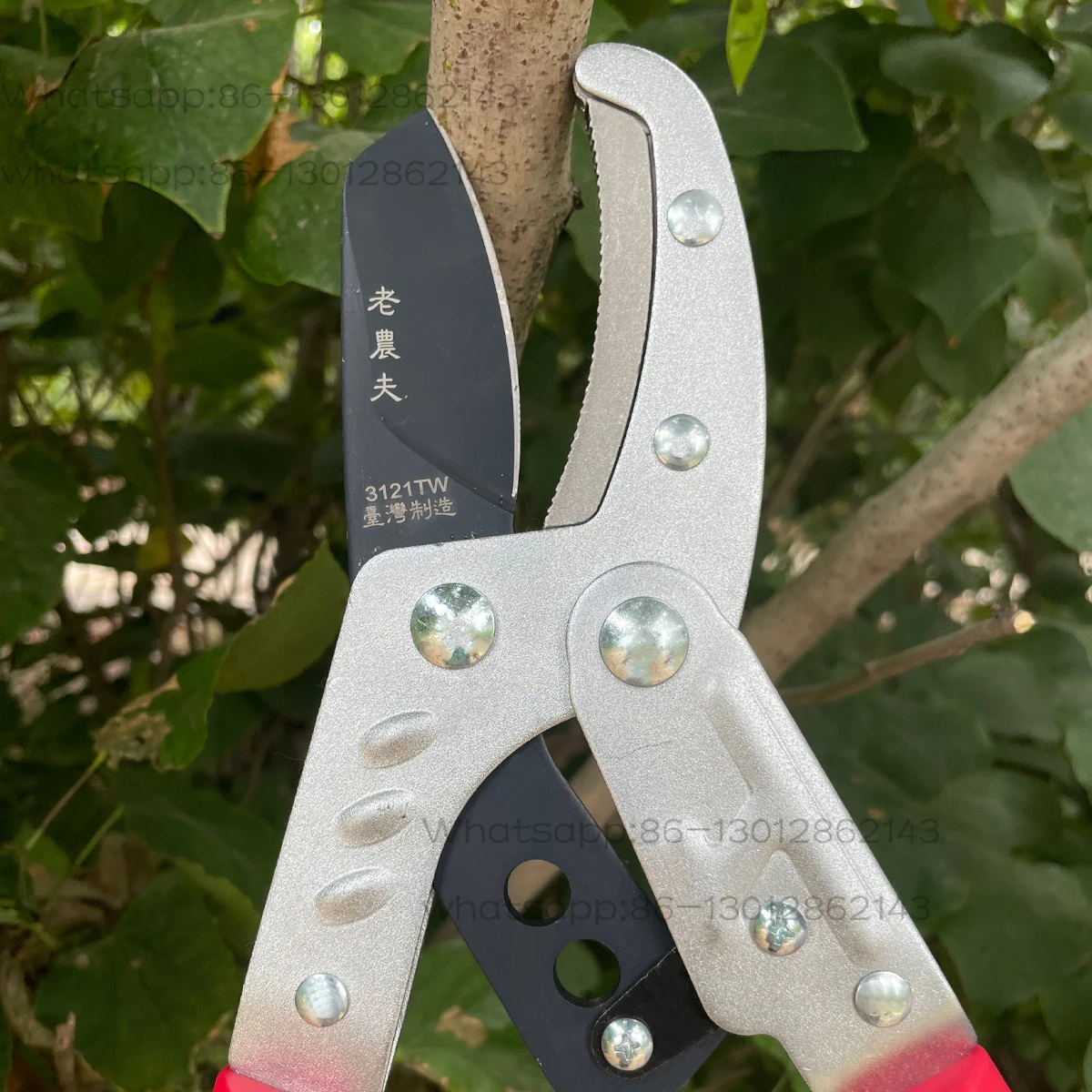 

Rough Branch Scissors for Flowers, Trees and Trees, Thick Branch Scissors for Stretching, Strong Force, High Branch Scissors