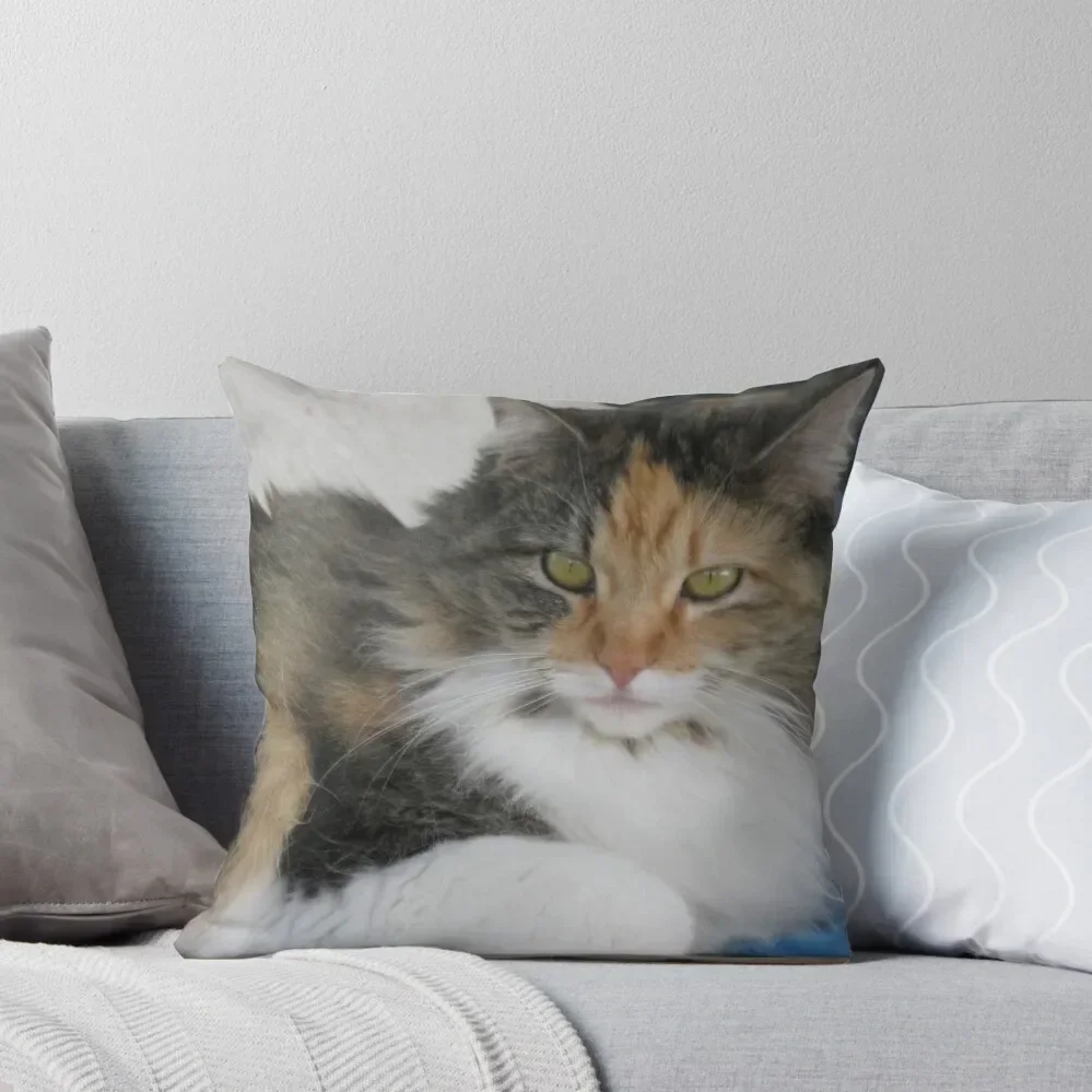 

Calico Cat Throw Pillow Sitting Cushion christmas supplies Ornamental Pillow Anime pillow