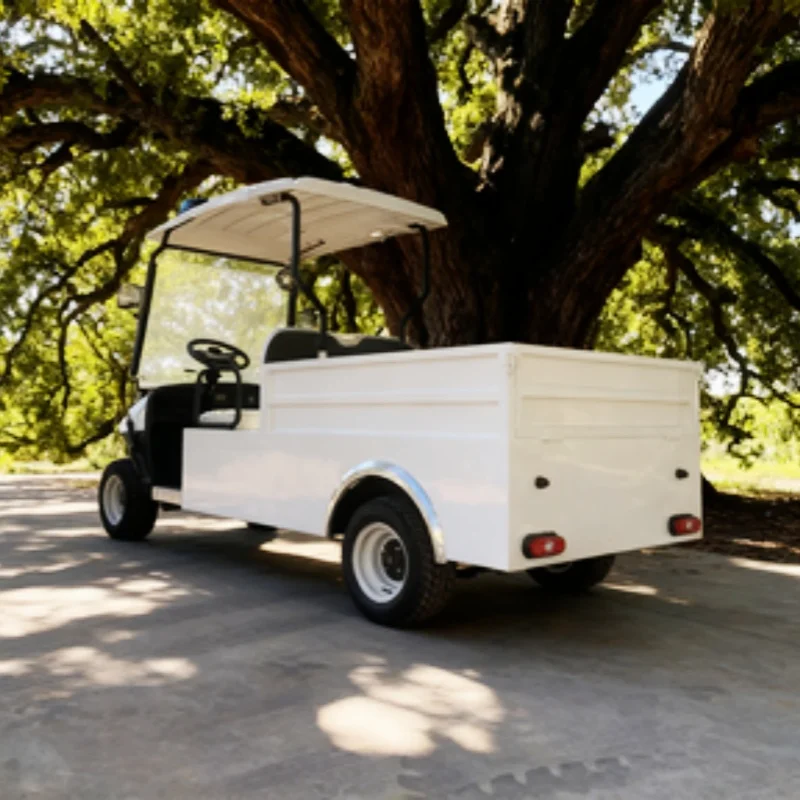 رائجة البيع بطارية ليثيوم الكبار سكوتر على الطرق الوعرة شاطئ عربة جولف كهربائية عربات التي تجرها الدواب مع صندوق البضائع الخلفية عربة البضائع القابلة للتحويل