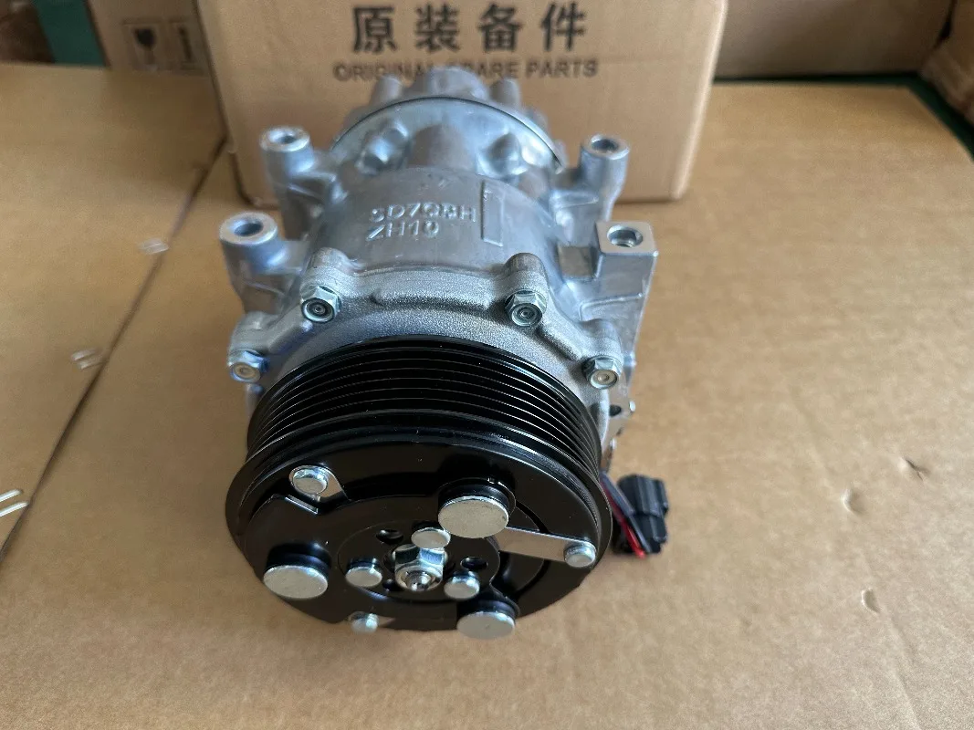 Professional Car Conditioner System Auto Compressor Assembly Air Conditioning Compressor 301000131AA for Chery