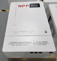 NPP Wall Floor Mounted Lithium Storage Battery Lifepo4  BMS 25.6V 100AH 2.56KWH Quickly Recharge Free Maintenance