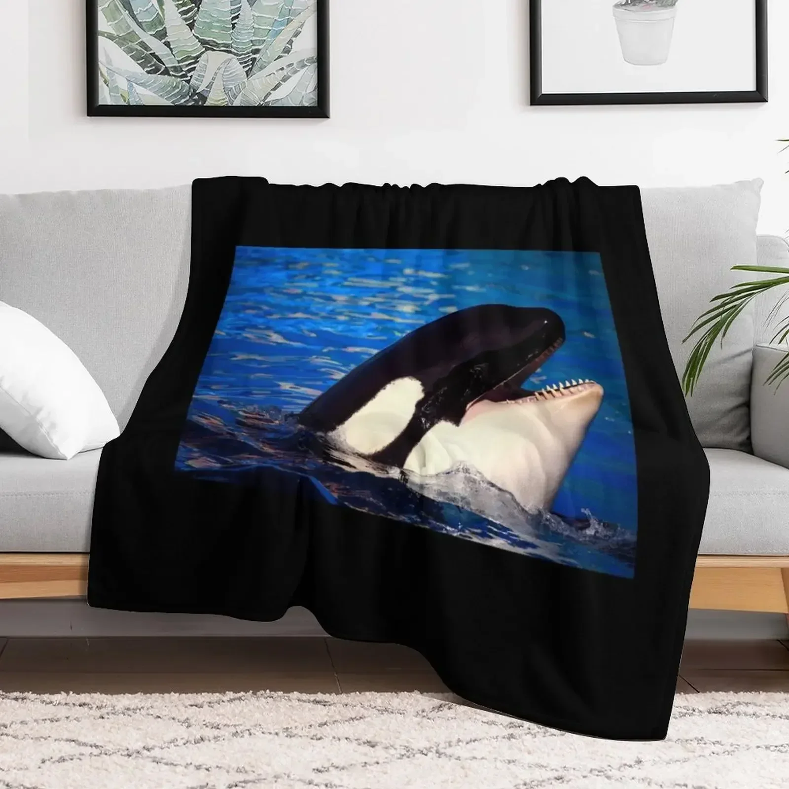 

Happy Orca Throw Blanket wednesday Thins Blankets