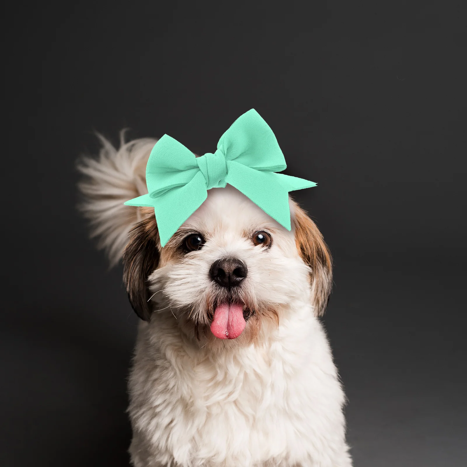 

Elastic Dog Hair Bows Pet Hairbands Puppy Decor Halloween Party Festival Grooming Accessories Bowtie Headbands Reusable