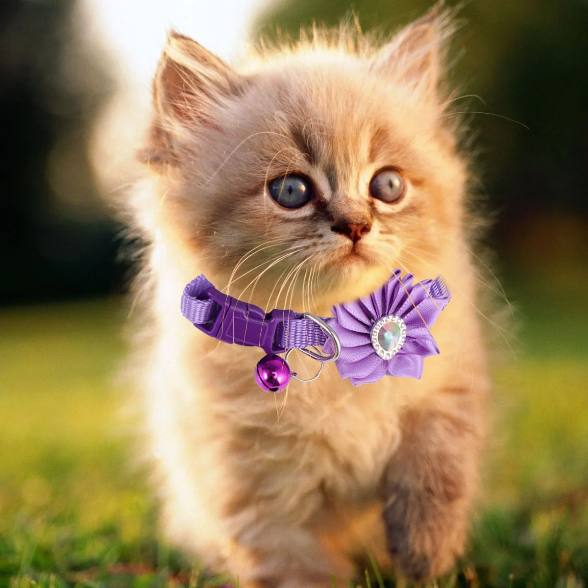 

Creative Violet Cat Collar Adjustable Flower Bell Neck Chain for Small Pets Unique Pet Accessory Pet Bell Collar