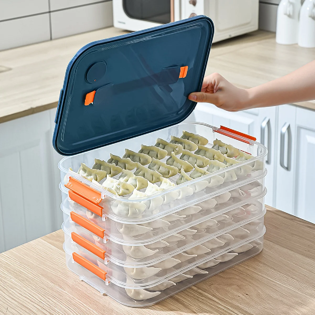 

4 Layers Refrigerator Storage Box Dumpling Food Preservation and Quick Freezing Box Transparent Food Storage Container