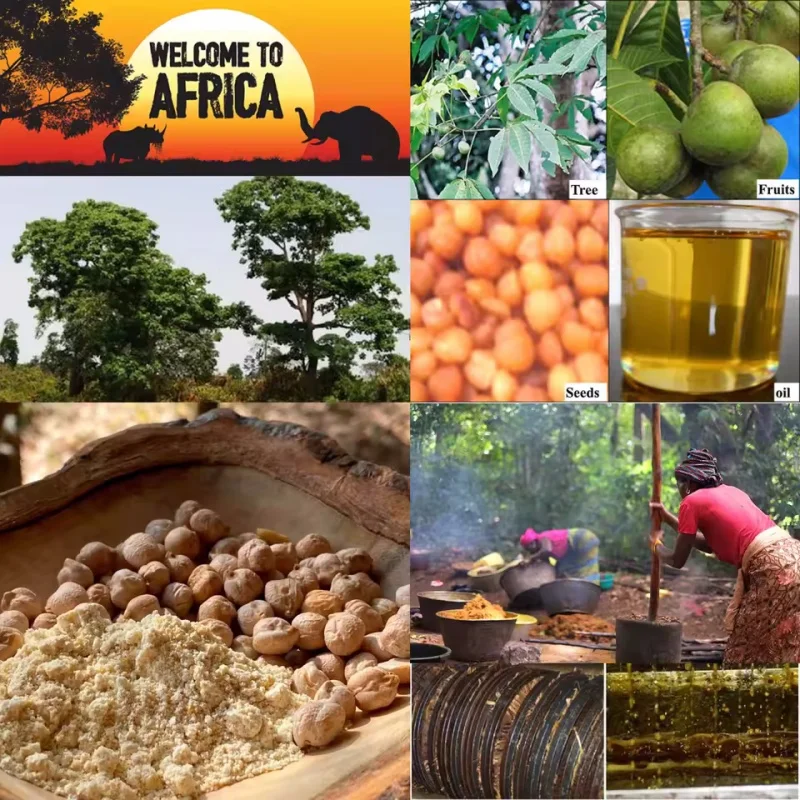 زيت تكبير الأرداف بعقب رفع ثبات الحمار الكبير تعزيز نمو الورك ترطيب تشديد المشكل بوم مثير تدليك الجسم الرعاية