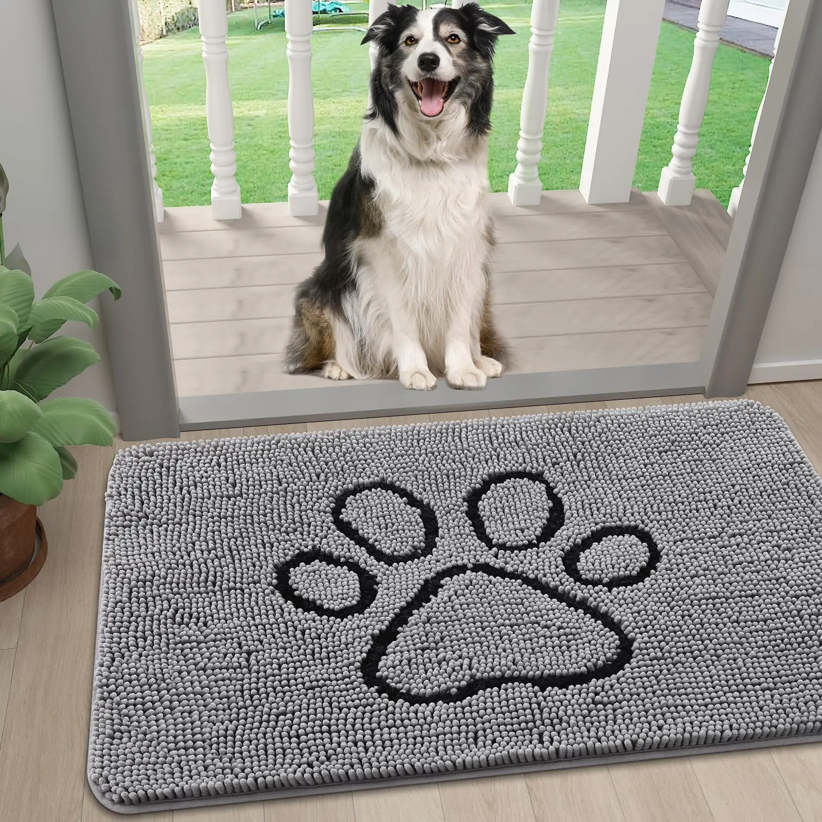 #78 Dog Doors List of Top Picks