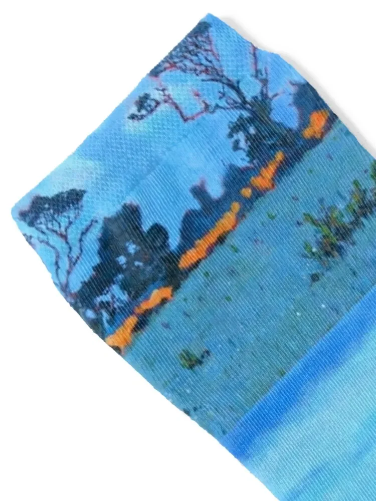 West Cork Trees, Irlanda Calcetines Año nuevo compresión hip hop Calcetines Mujer Hombre