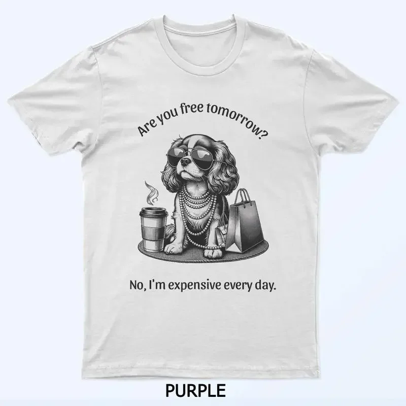 Are You Free Tomorrow No I'M Expensive Every Day T Shirt