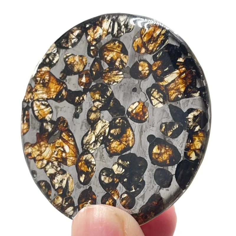 Seymchan Pallasite Meteorite Slice Natural Olivine Crystal Inclusions Cosmic Collectible QA861